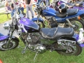 IMG_1566.jpg