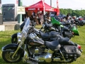 IMG_1620.jpg