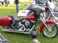 IMG_1731.jpg