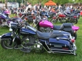 IMG_1733.jpg