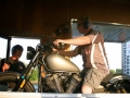 IMG_1242.jpg