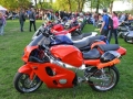 IMG_0995.jpg